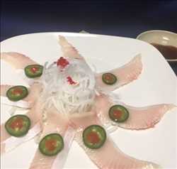 Yellowtail Jalepeno App